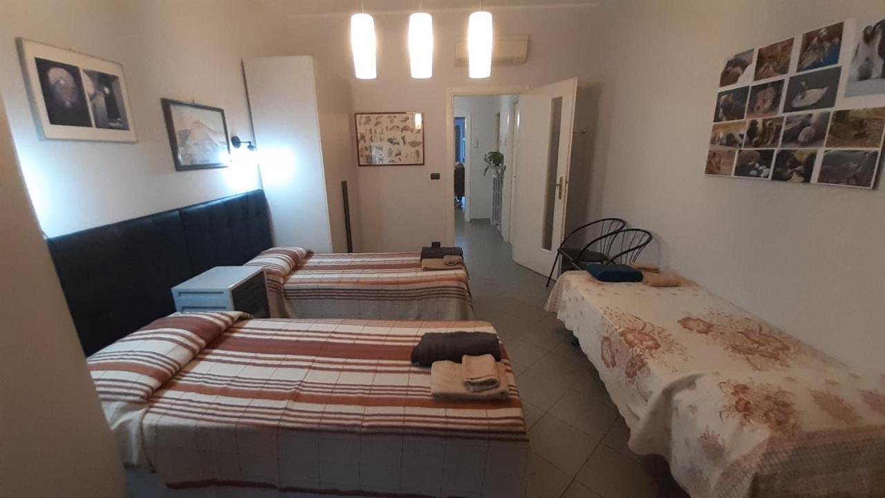 Appartement Metronear à Collegno Extérieur photo